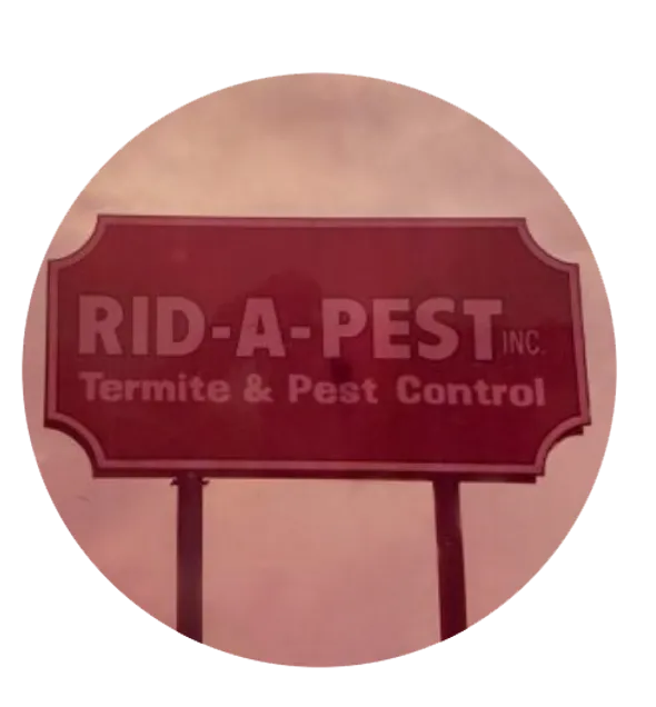 rid a pest