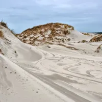 sand dunes on a north carolina beach